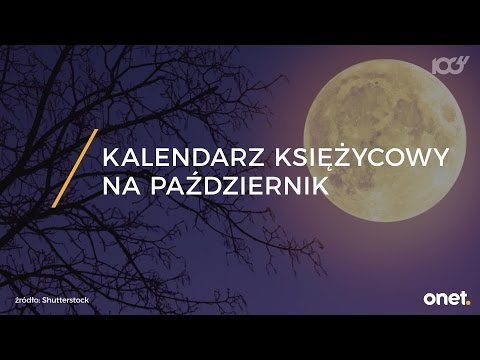 Oznacza dla curling włosów Auchan Środek do pielęgnacji włosów z argininą