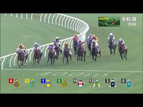 18/12/2021 (269) Romantic Warrior - J Moreira