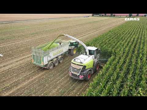 CLAAS In Campo 2021 - JAGUAR 980 BBF