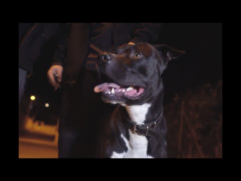 El Virtual - Arbolito (Prod. Jay Cas)