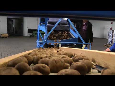 EURO-Jabelmann Kartoffel Sortieranlage