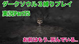 ダークソウル３縛りプレイ実況 | 低火力装備で覇王ウォルニール倒す【Part25】