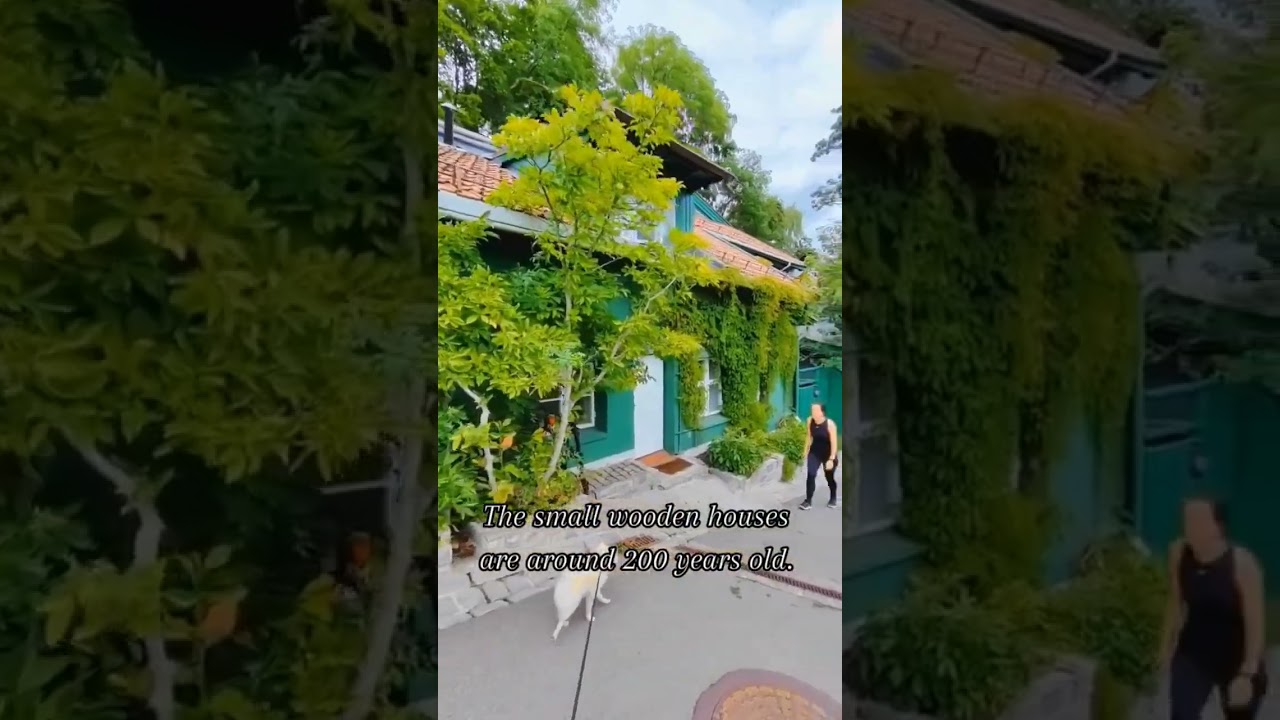 YouTube Short thumbnail