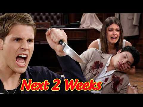 Bold And The Beautiful Next 2 Weeks