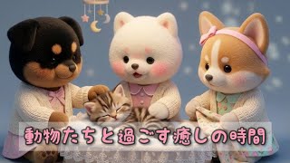 動物たちと過ごす癒しの時間🐶💖Mofuko Animal Care Vlog