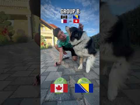 DOG picks a winner GROUP B #1