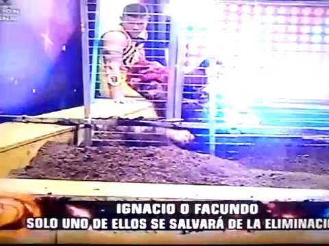 Esto es guerra la final