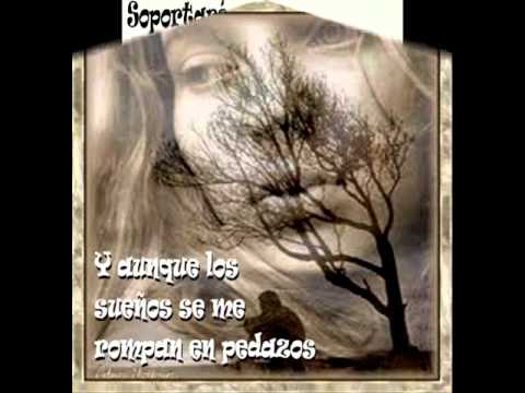 Resistiré - Estela Raval.wmv