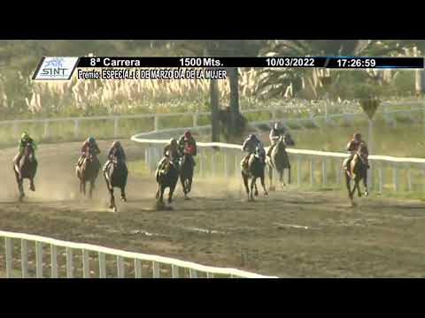 220310 c08 1° SUBVERSIVO SINT COLONIA