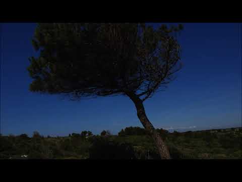 Scripturesong 2.Korinther 1,2.3.4