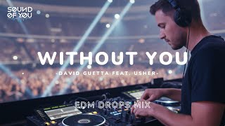 WITHOUT YOU - DAVID GUETTA FEAT. USHER DROP MIX PARTY