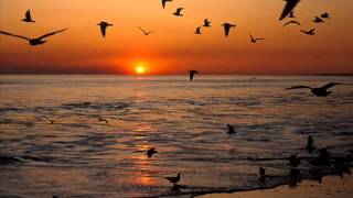 Gabbiani al Tramonto (Stelvio Cipriani)  473 Hz by G:S.