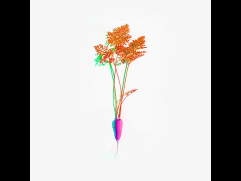 ANTICVERPO - Zanahoria