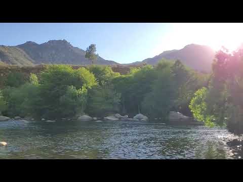 Peaceful timelapse of the river in the afternoon