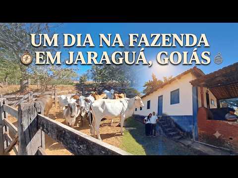 UM DIA NA FAZENDA EM JARAGUÁ GOIÁS