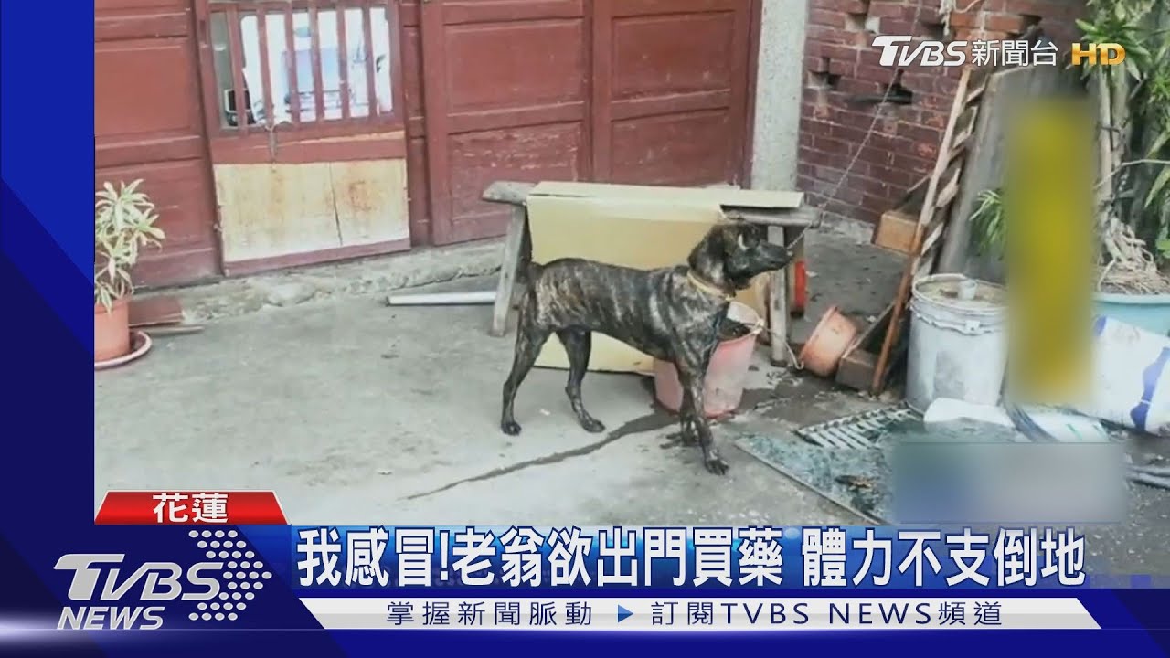 「土狗狂吠」警循聲見老翁倒地　緊急救援