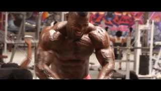 Pure Motivation | Mulligan Brothers |