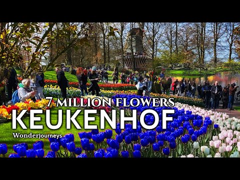 Keukenhof 🌷 7 Millionen Blumen 🌷 Garten Europas