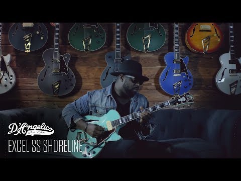 D'Angelico Excel SS Shoreline Demo
