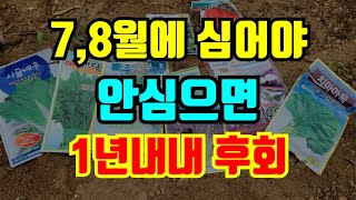 7월 8월에 심는 식탁에서 빠질수없는 11가지 필수채소 안심으면 1년내내 후회 알아두셨다가 꼭 심으세요