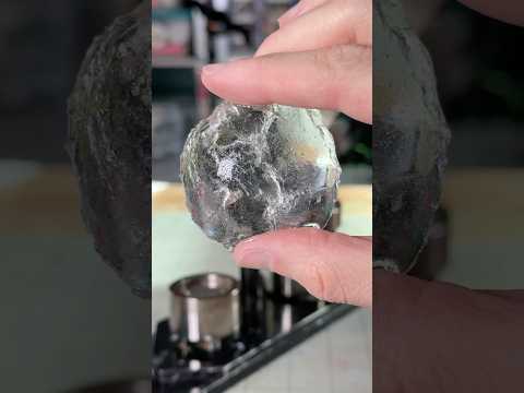 Will it Button? Clear Taba Squishy