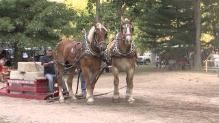 preview picture of video '2012 Brethren Michigan Horsepull'
