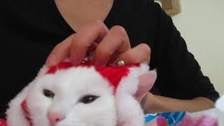 クリスマスあめちゃん