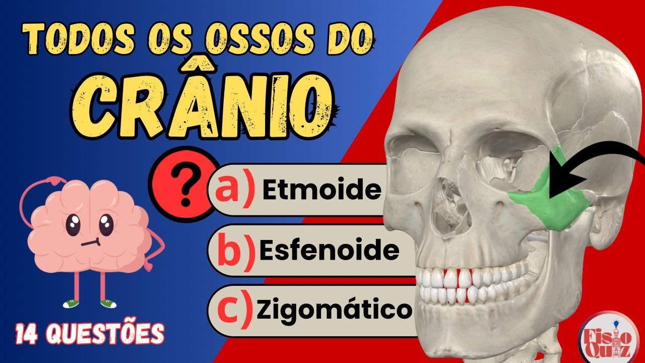 Quiz Ossos do CRÂNIO: 14 questões | Quiz de Anatomia 💀 #anatomiahumana #quiz #corpohumano