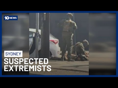 Seven Victorian Men Dramatically Arrested By Police Then Released In Sydney | 10 News