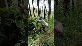 Download lagu dis3ng4t leb4h auto ng4muk mp3 Download lagu dis3ng4t leb4h auto ng4muk mp3