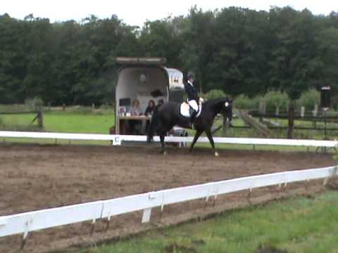 MenseCup Spexard - Anna