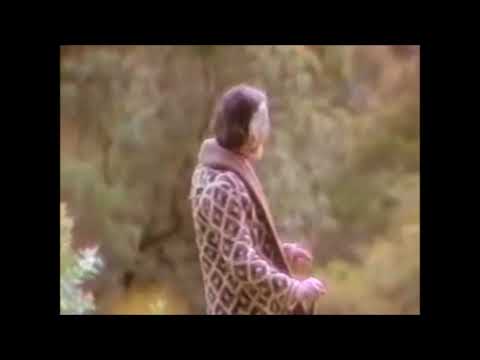 Allen Watts - Man and Nature