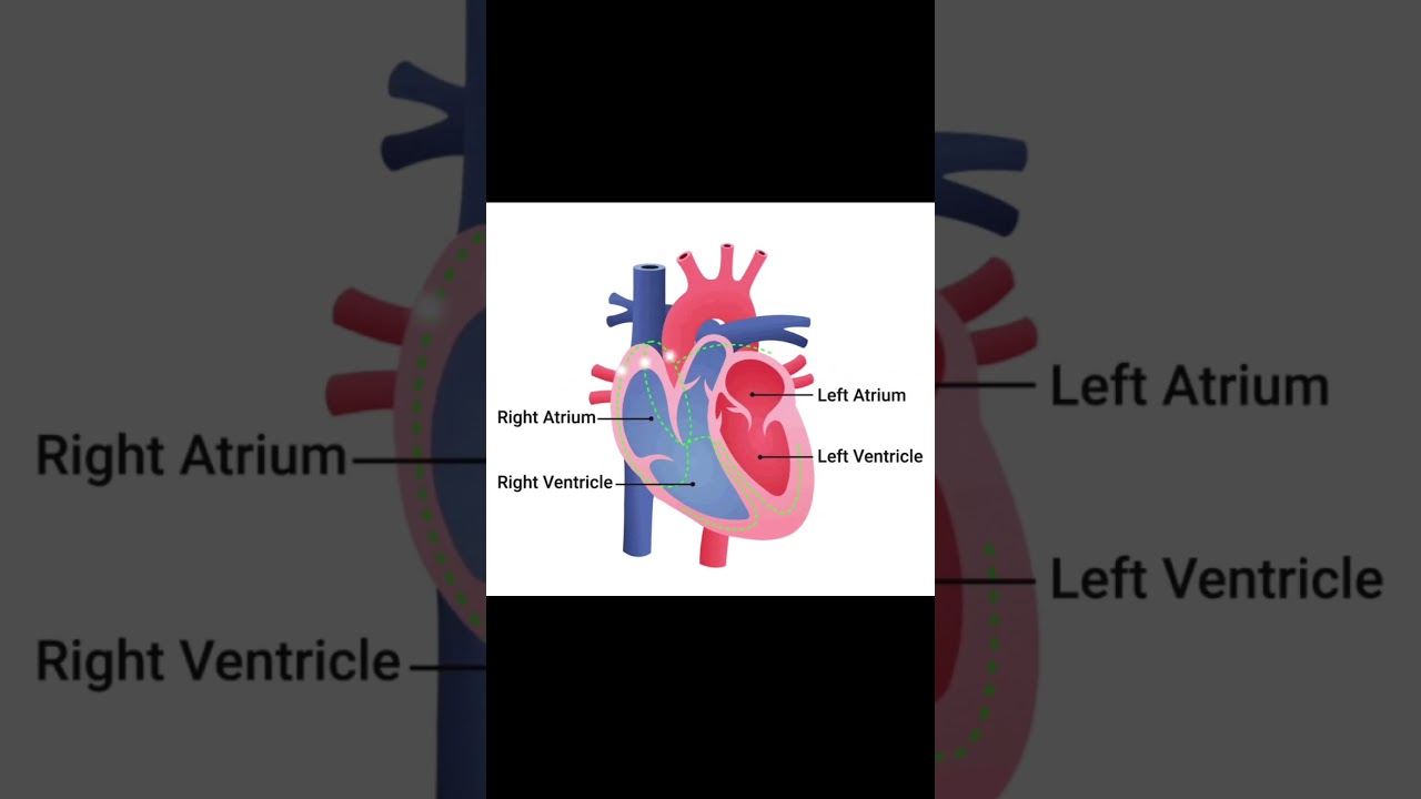 RIP MIL 2/24/2026 (Neville’s Way)