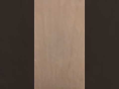 Holi taanga- Oelaman