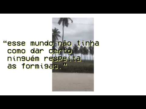 aner X rett  “ninguém respeita as formigas.”  (beattape)