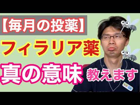 犬用セレギリン - その目的、投与量、副作用