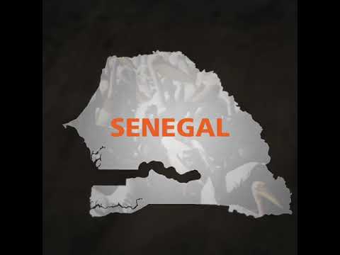 Wetland and water bird conservation in Senegal – #SWMProgramme