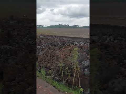 BARRAGEM DO SÃO JOSÉ #maranhão #diadiarural #palmeirândia #nordeste #interior #shortsfeed #shorts