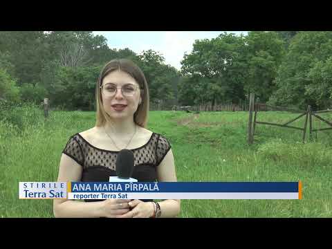 GROPI ILEGALE DE GUNOI, LA HINOVA