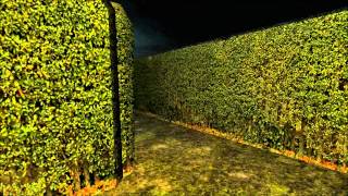 Slenderman: Claustrophobia videosu