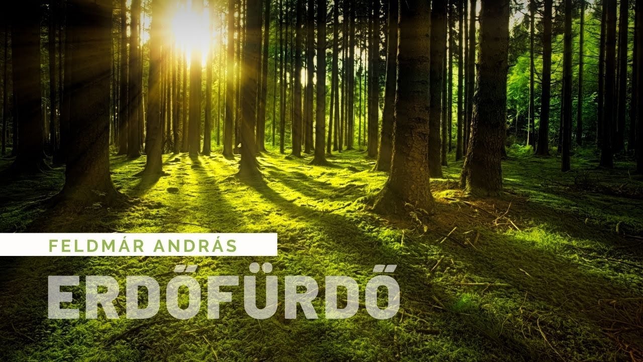 Erdőfürdő videó
