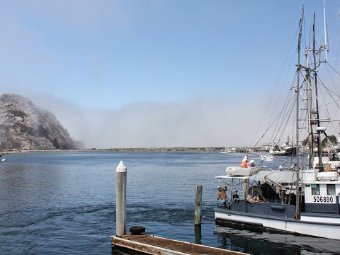 ZAMBI ft RaP Gjoka No No 2015