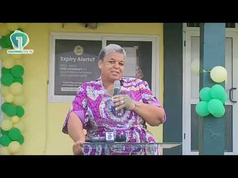 gizella: MP Calls on DVLA to Introduce Instalment Payments for Licences