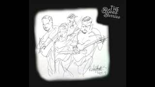 The Blues Berries - Little Wing [Jimi Hendrix Cover] (Live version)