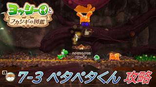 【ヨッシーとフカシギの図鑑】7-3 ペタペタくんの生息地 調査、フラワーコンプリート【攻略/switch2】