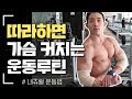 [가슴운동루틴] 따라하면 가슴 100%커지는 기본 운동 방법 (work out motivation)