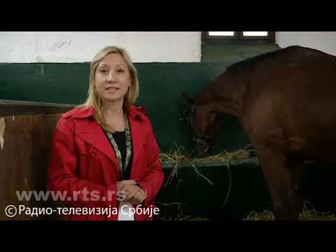 KARAĐORĐEVO 30.09 RTS