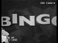 Baby Genius Bingo