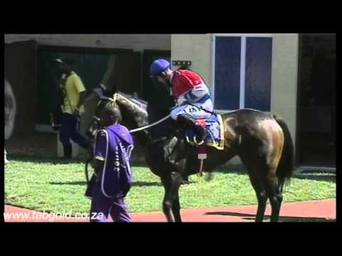 20150218 Scottsville Race 6 won by GOLDEN MIRABILIS