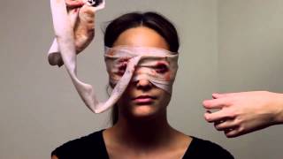 The Reveal: Maggot-eaten Eyes